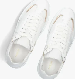 witte haboob lage sneakers lpanemone