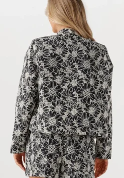 witte ibana jack jaidy