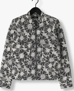 witte ibana jack jaidy