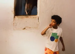 witte jelly mallow t-shirt tractor t-shirt