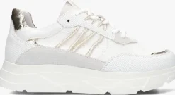 witte omoda lage sneakers kady fat 435