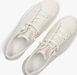 witte paul green lage sneakers 5017