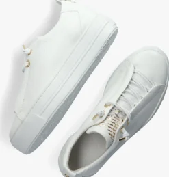 witte paul green lage sneakers 5017