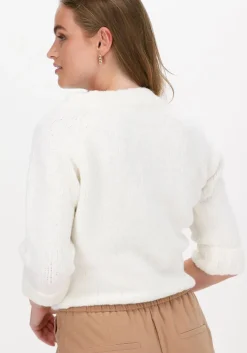 witte penn & ink trui w21l140