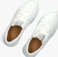 witte shabbies lage sneakers veda ava