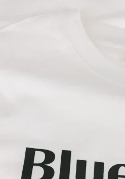 witte shiwi t-shirt men liam regular t-shirt blue tides