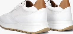 witte stefano lauran lage sneakers lj2504