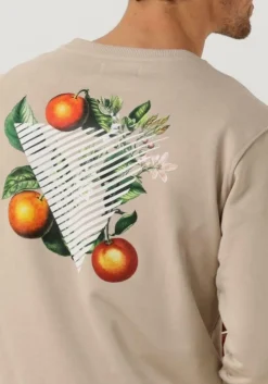 zand pure path trui crewneck with fnt and back print