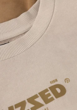 zand raizzed sweater male