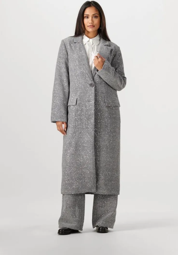 zilveren alix the label mantel ladies woven sequin long blazer