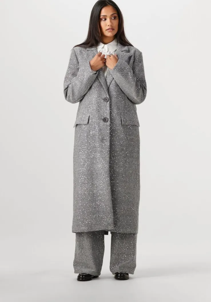 zilveren alix the label mantel ladies woven sequin long blazer