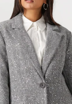 zilveren alix the label mantel ladies woven sequin long blazer
