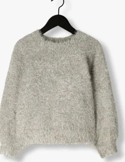zilveren daily brat trui stardazzle sweater