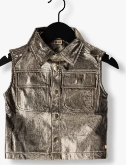 zilveren daily7 gilet metallic gilet