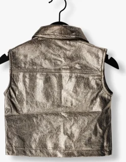 zilveren daily7 gilet metallic gilet