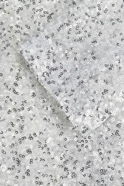 zilveren goosecraft blazer bowie sequine blazer