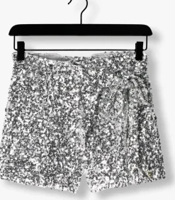 zilveren harper & yve minirok emilia-sk