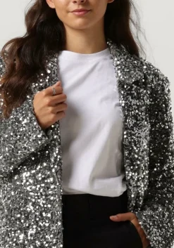 zilveren notre-v blazer nv-christine glitter velvet blazer
