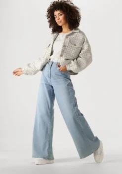 zilveren nukus top anita top lurex