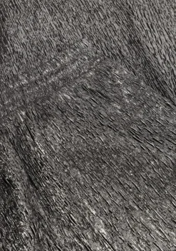 zilveren ydence pantalon pants madison