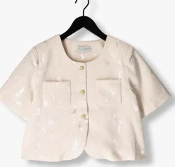 zilverkleurig amaya amsterdam blazer silver