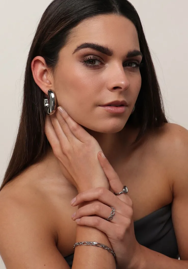 zilverkleurig notre-v oorbellen earring big