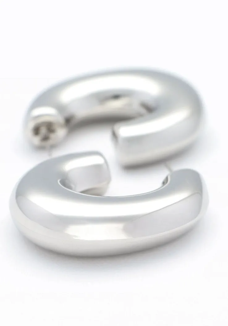 zilverkleurig notre-v oorbellen earring big