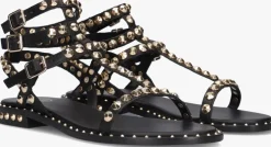 zwarte ash platte sandalen play