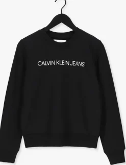 zwarte calvin klein trui institutional core logo cn