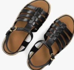 zwarte fitflop sandalen met hak jf5