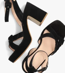 zwarte fred de la bretoniere sandalen 163010180