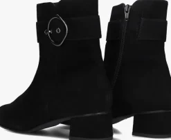 zwarte hassia enkellaarsjes 303095