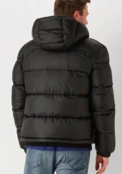 zwarte hugo gewatteerde jas baro2441