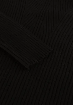 zwarte ibana coltrui topio