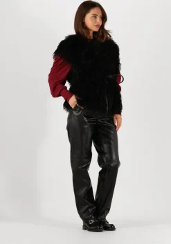 zwarte ibana gilet jannes