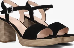 zwarte notre-v sandalen 51303