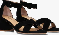 zwarte omoda sandalen met hak ida03
