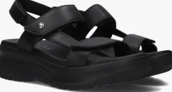zwarte panama jack sandalen noor
