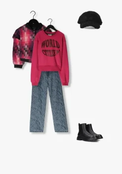 zwarte stand studio pet cia mini cap