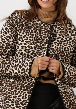 zwarte suncoo jack evan