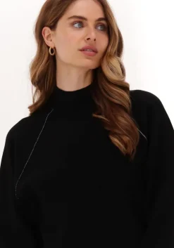 zwarte tiger of sweden trui asa