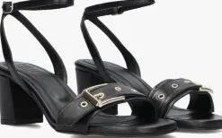 zwarte toral sandalen met hak melissa led