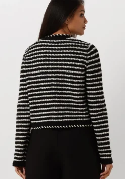 zwarte vanessa bruno truien/vesten daya