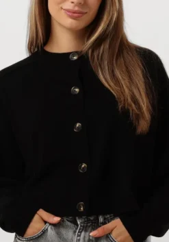 zwarte vanessa bruno truien/vesten douve