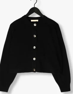 zwarte vanessa bruno truien/vesten douve